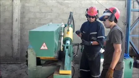 Fabricantes de tesouras de jacaré para máquinas de corte de placas (alta qualidade)